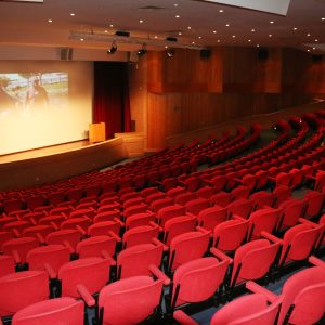 V Congresso SPE